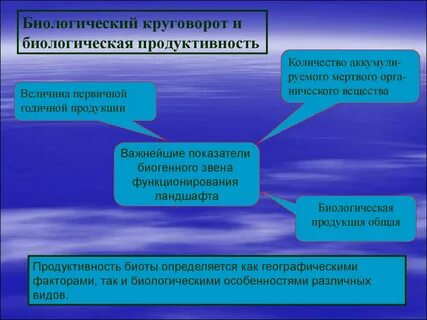 Функционирование ландшафтов