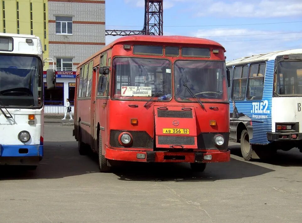 203 Автобус Балахна. Автостанция Балахна. Автобус 203 автобус Балахна. Автобус 203 Нижний Новгород Балахна. Расписание автобусов балахна 203 сегодня