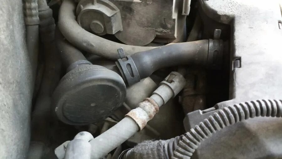 6. клапан картерных газов opel frontera b 3. опель картерные газы. опель омега б 2. выносной клапан вентиляции опель.