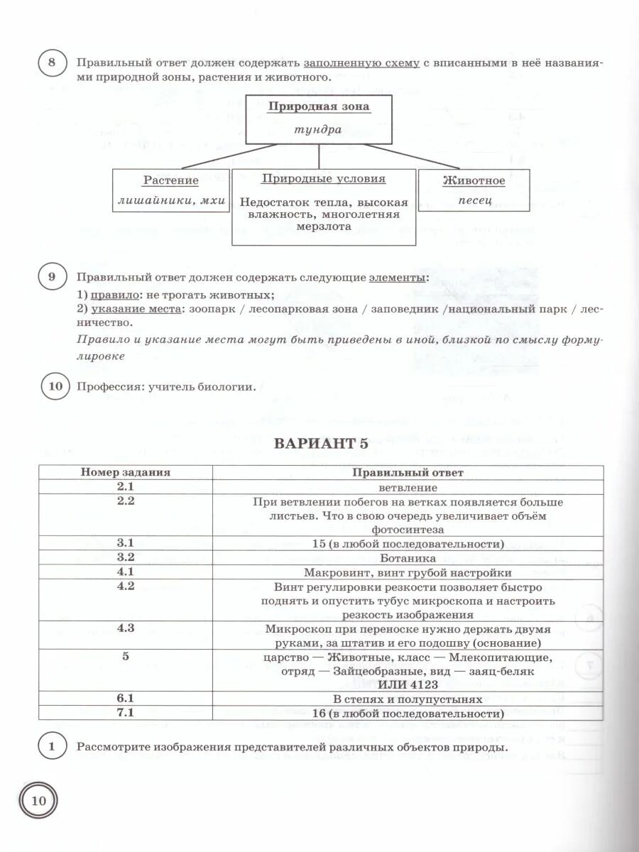 Впр по биологии 5 класс 2021 ответы. ВПР по биологии 5 класс Банникова Касаткина шариков ответы. ВПР по биологии 5 класс Банникова Касаткина шариков. ВПР по биологии 5 класс н. а. Банникова ответы. Биология ВПР 5 класс 2022 Банникова.