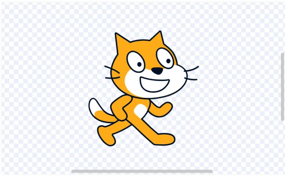 The cat is not