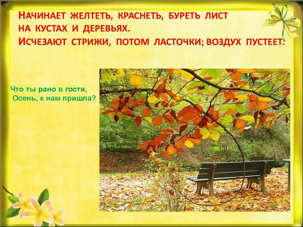 Распространите предложения пожелтели листья. Осенью на деревьях листья желтеют краснеют. презентация осень. осенью листья на деревьях и кустарниках желтеют. начало осени листья желтеют.