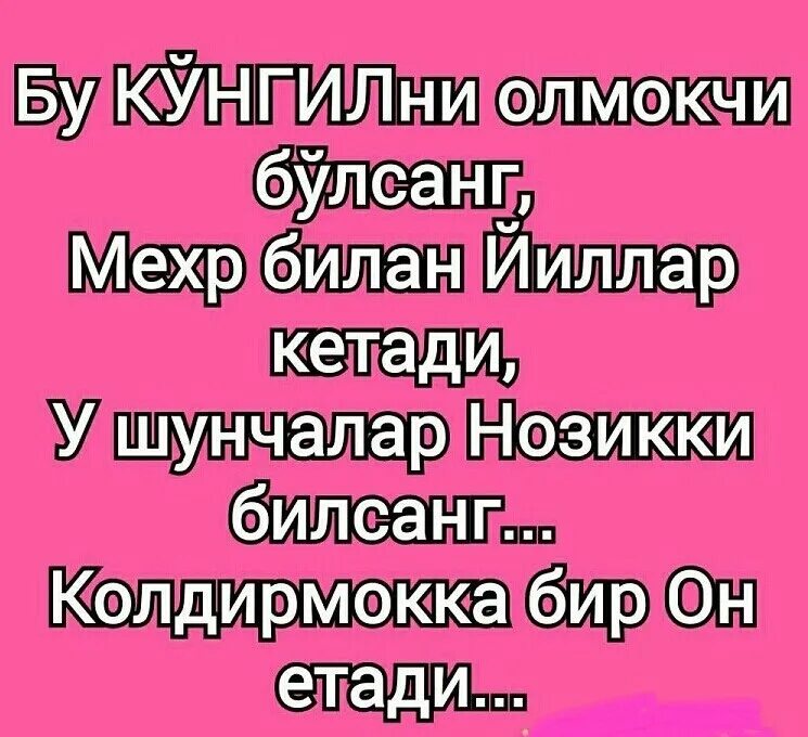 Хай хакида. Мехр Шер. Мехр Окибат. Мехр Окибат картинка. Шеърлар Окибат хакида.