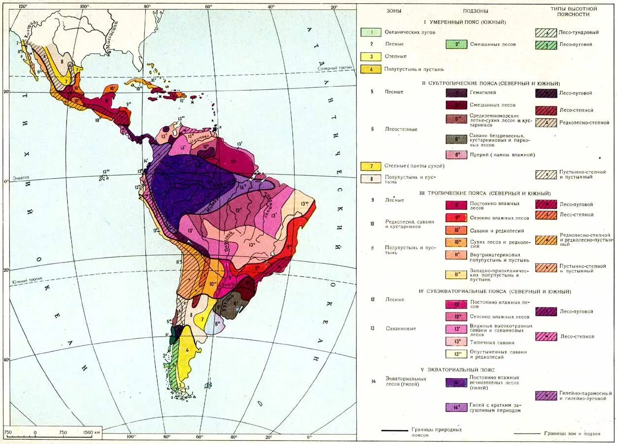 Карта почв Южной Америки. Карта районирования Южной Америки. Климатическая карта Латинской Америки. Типы почв Южной Америки на карте.