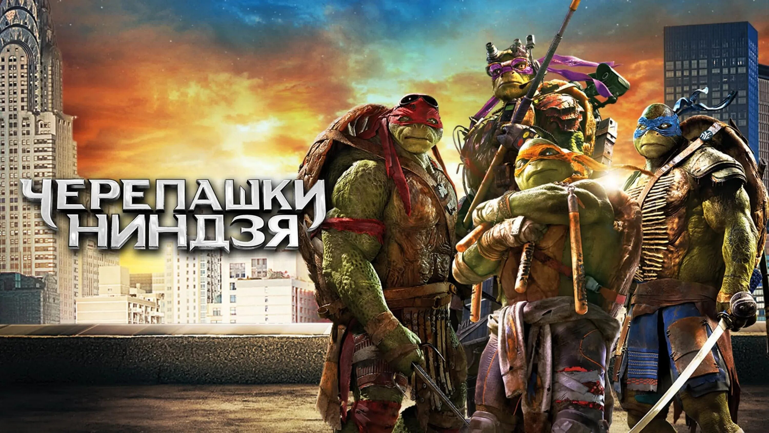 5 черепашка
