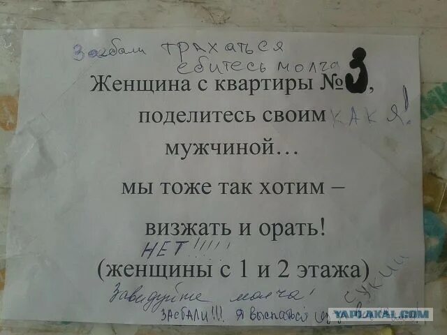 Объявление альфонса ищет мужчину. Женщины которые хотят. Объявления женщины хотят мужчин. Смешные объявления с номерами телефонов. Подруги ищут спонсора.