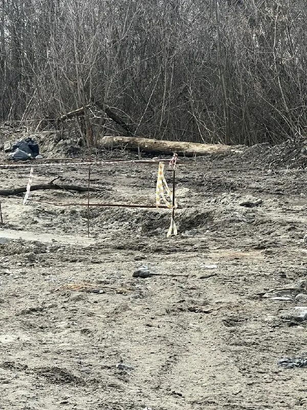 Телеграм пульс дона. Телеграм пульс дона. Дорога масаллы ярдымлы. Письмо в управляющую компанию по подвалу. Исламский мох централия в камбарском районе удмуртии где растет.