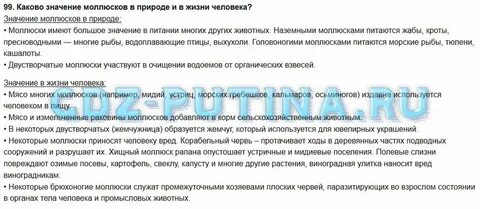 Каково значение ракообразных природе и жизни человека