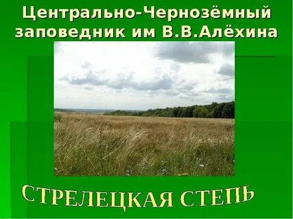 Центрально черноземный государственный заповедник имени алехина