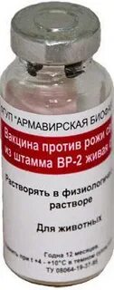 Против рожи свиней штамма
