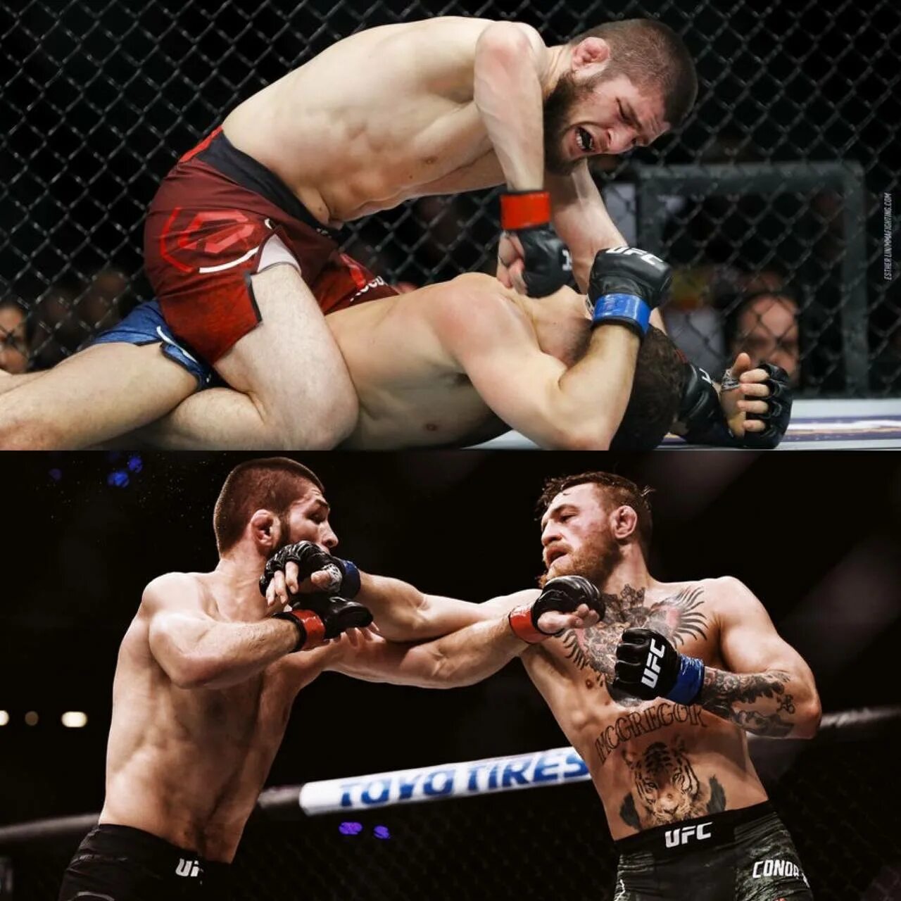 Брайс митчелл илья топурия. Марлон вера доминик круз. Обложки для вк профиля 2022 мма. Кто был чемпионом ufc. Телеграм канал мма.