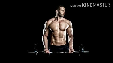 Тренировки full body в тренажерном зале