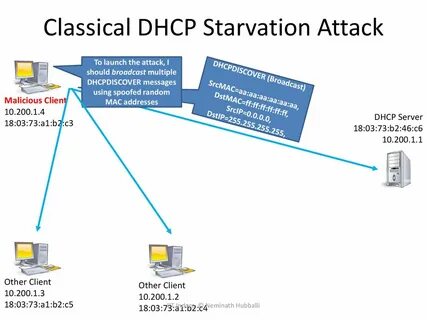 Dhcp mac