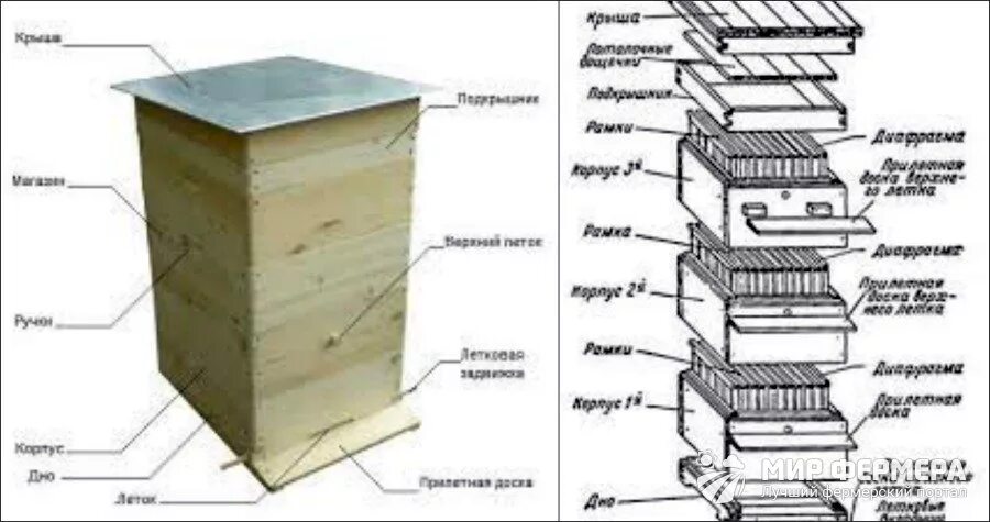 Строение улья для пчел схема. Пчелиный домик чертежи. Форма для литья ульев из ППУ чертежи. Строение пчелиного улья в разрезе.