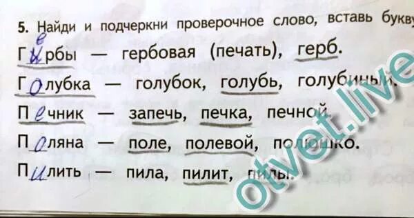 Подчеркнуть слова трава цветок. Голубь проверочное слово. Подчеркни проверочные слова. Проверочное слово к слову голубь. Гоьубь проверочные слово.