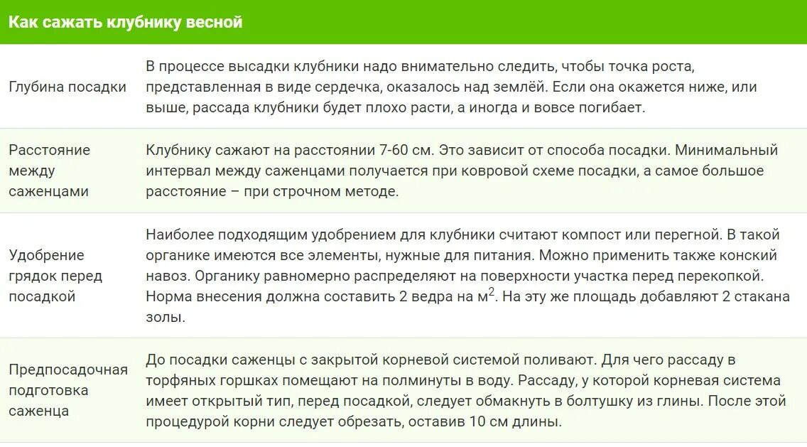 Схема посадки клубники на грядке. На каком расстоянии сажать клубнику на грядке. На каком расстоянии сажать кусты клубники. На каком расстоянии лучше сажать клубнику.