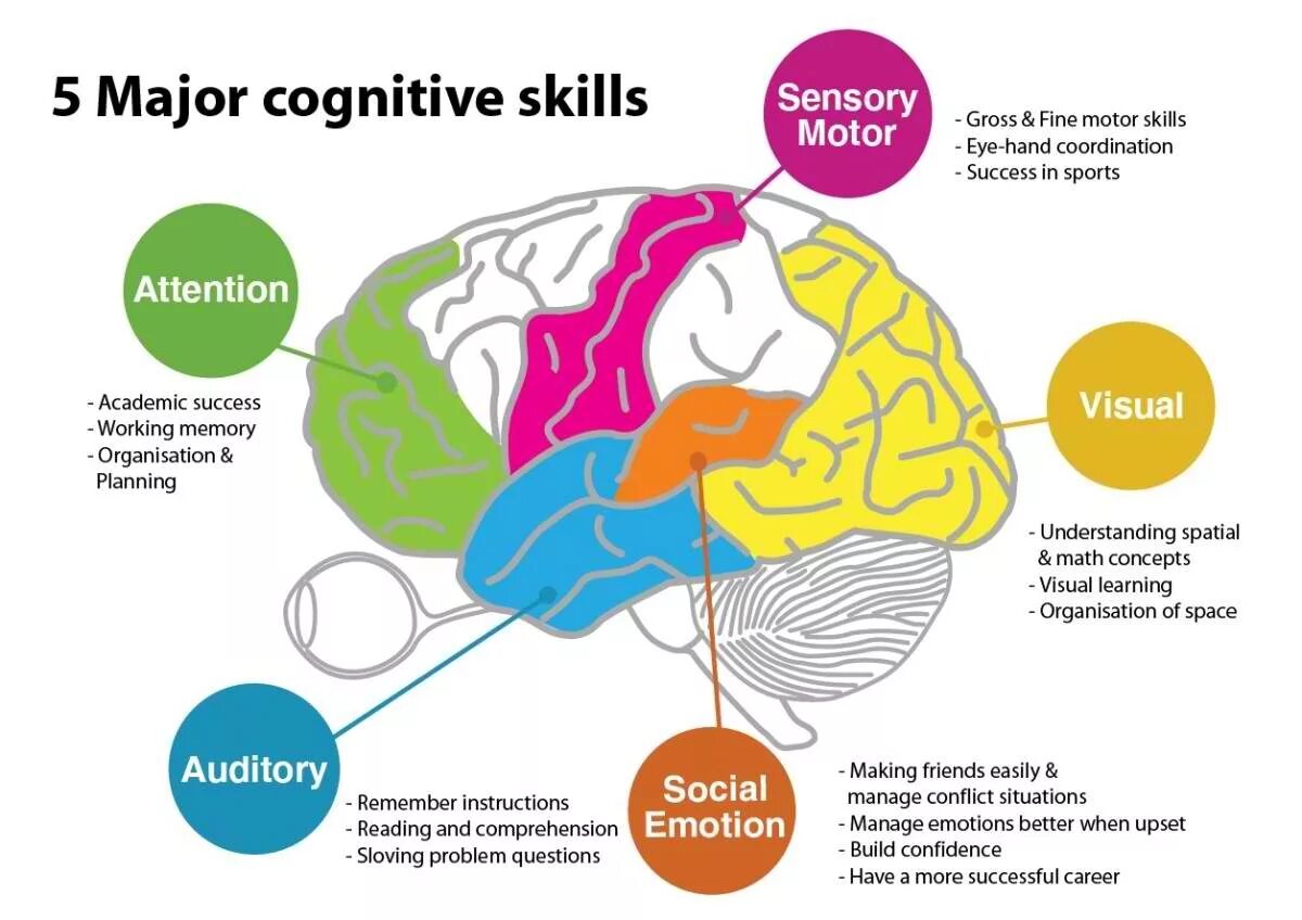 Cognitive effects. Cognitive brain. cognitive mapping. cognitive abilities. cognitive map.