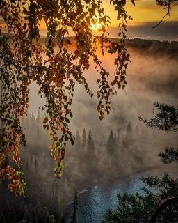 Мгновения природы