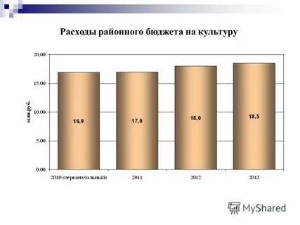 Бюджетная культура