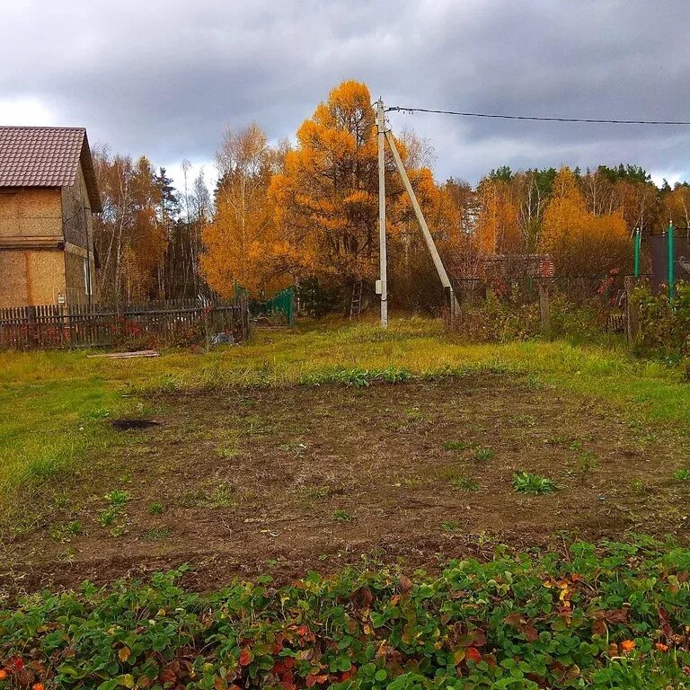 Губино Воскресенский район. Деревня Губино Воскресенского района. Воскресенский район деревня Губино Центральная. Деревня Губино Можайский район. Погода губино воскресенский