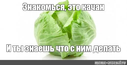 Капуста не качан. Бакуго катсуки качан капуста. Мемы бакуго мем. Качан мем. Бакуго катсуки злой.