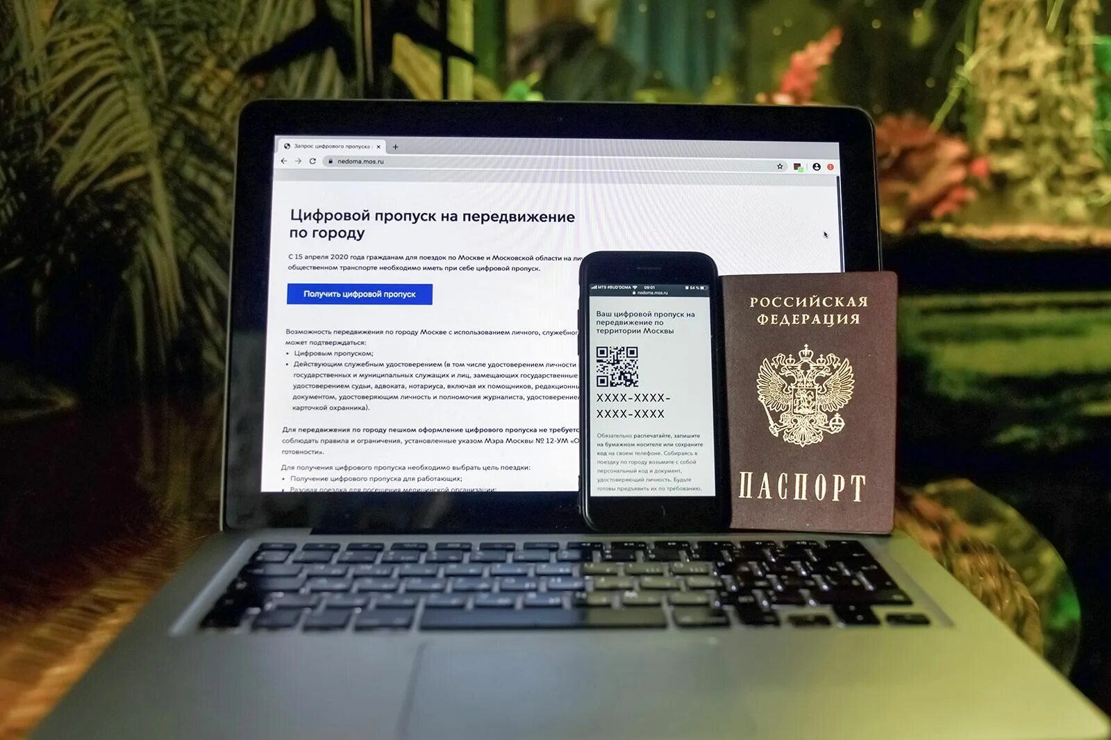 Получить цифр пропуск. Цифровой пропуск. фото на пропуск. рабочий пропуск. пропуск рф.
