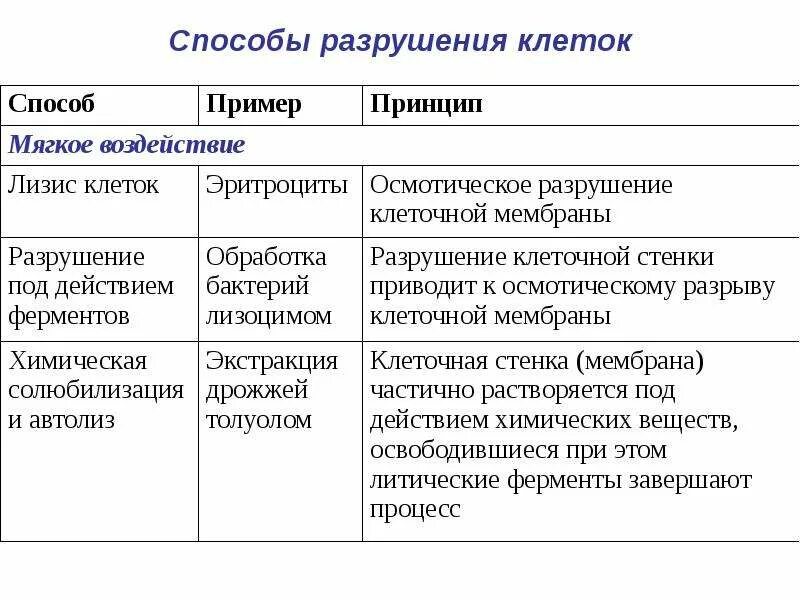 Смерть клетки некроз и апоптоз. Разрушенные клетки что это. Методы дезинтеграции клеток. Разрушенные клетки что это. Механизм разрушения клеток.