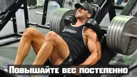 Квадрицепс в зале