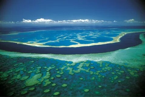 Сами больше море в мире