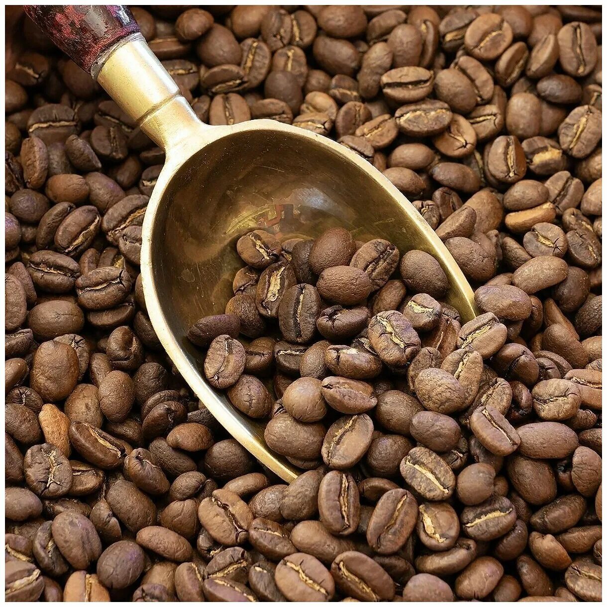 кофе арабика в зернах ашан. венская обжарка кофе. кофе деловой стандарт dolce arabica в зернах. кофе в зернах арабика средней обжарки. кофе dallmayr в зернах crema d`oro 500 г.