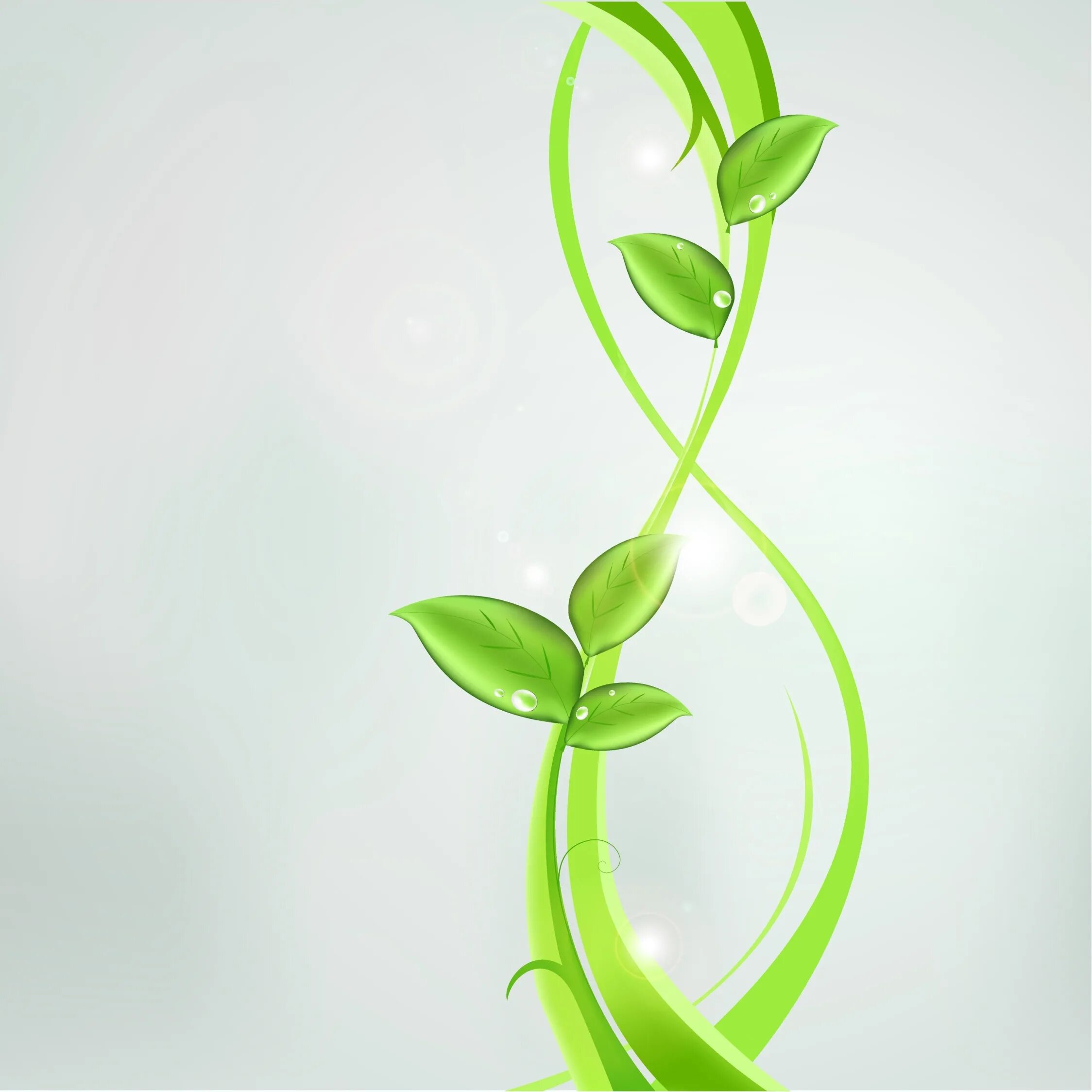 Eco plant. Фон растения. Абстракция в зеленых тонах. Салатовый фон для презентации. Зеленые листья абстракция.
