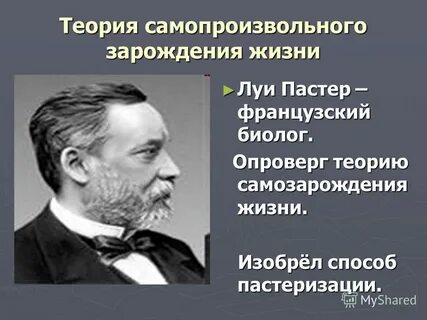 Придумал теорию