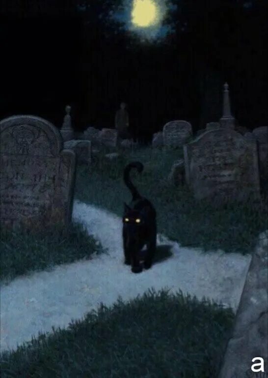 Над тюрьмою полночь вся чернее. Черный кот на кладбище. Кладбище мистика. Кладбище ночью.