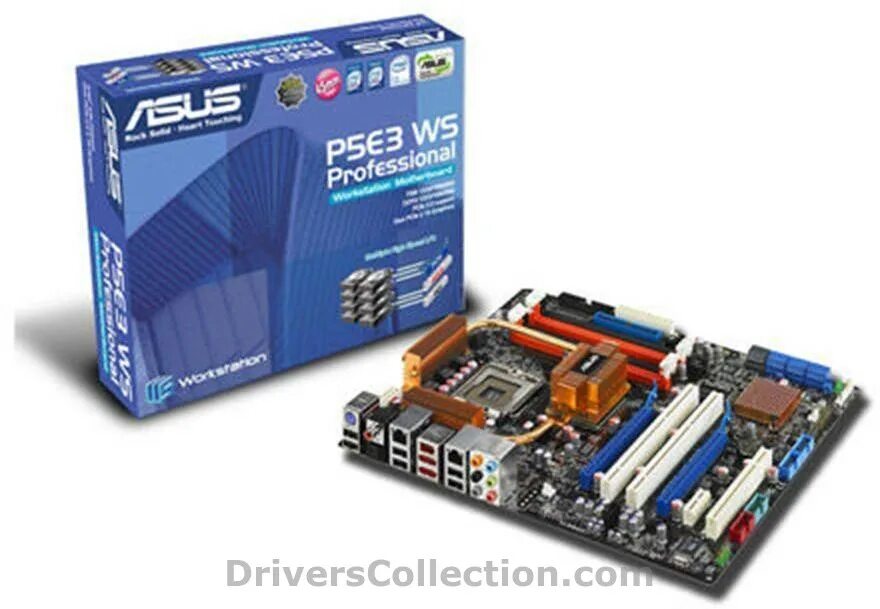 E ws 01p 11
