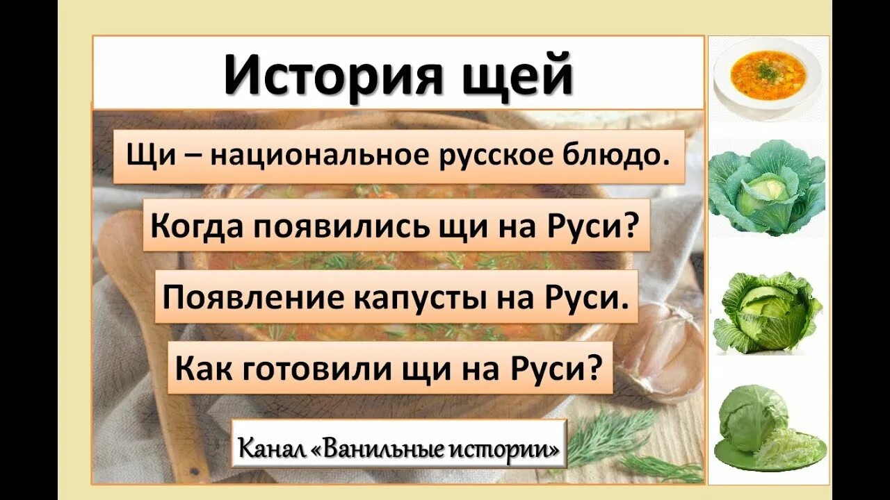 Щи история. История щей на Руси. Когда появилась капуста на Руси. Как появились щи на Руси.