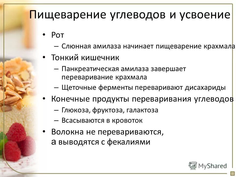 Ферменты участвующие в переваривании углеводов. Ферменты переваривающие углеводы. Схема переваривания углеводов. Усвоение углеводов. Процесс пищеварения углеводов.