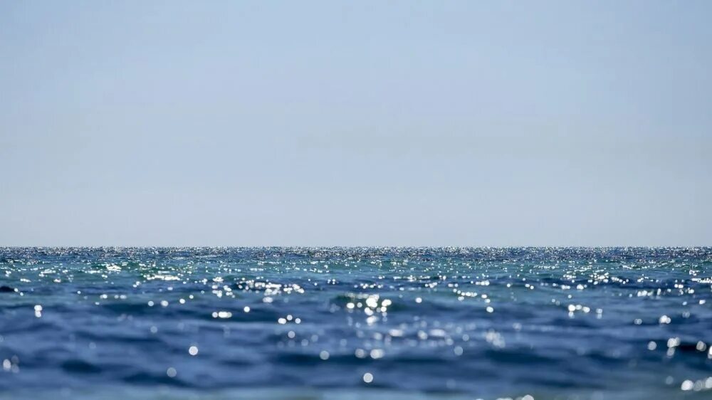 Азовское море вода. Азовское море вода пресная. Феодосия море. Эвтрофикация азовского моря. Каспийское море в астрахани фото.