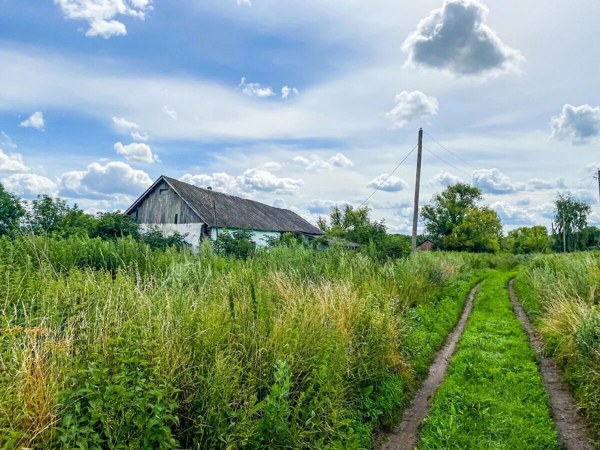 Рязанская деревня