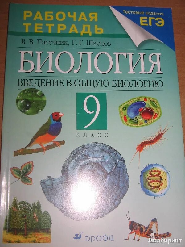 Биология 9 класс рабочая тетрадь Пасечник. Биология 9 класс Пасечник.2014. Рабочая тетрадь по биологии 9 класс. Введение в общую биологию.