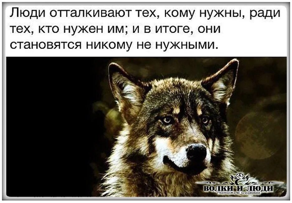 Стихотворение о добре и зле. Стих про волка. Стих про волчицу. Стих про волчицу. Притча о добре и зле.
