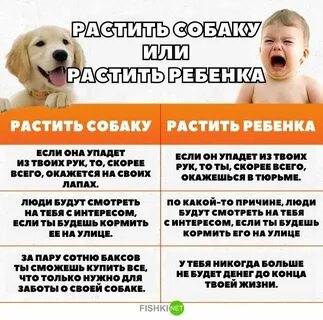 Зачем детям собаки