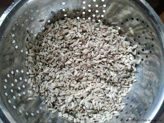 семечки в крыму. орехомания семечки. проросшее семя подсолнечника. очищенные семечки рецепт. семечки чистка.