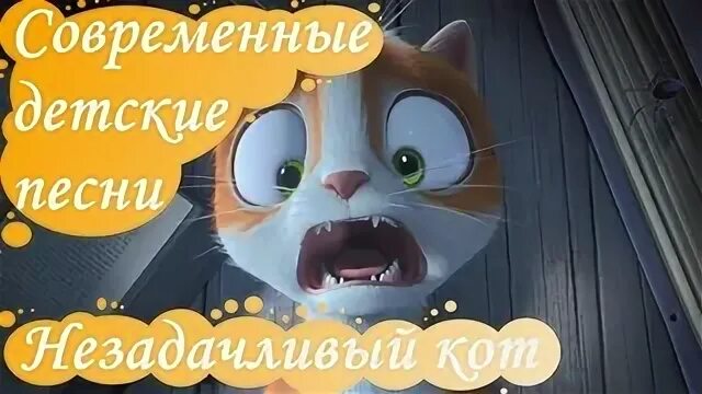 Включи видео кот песни. Современные детские песни. Незадачливый кот. Привет дружище славный кот. Песни незадачливый я кот.