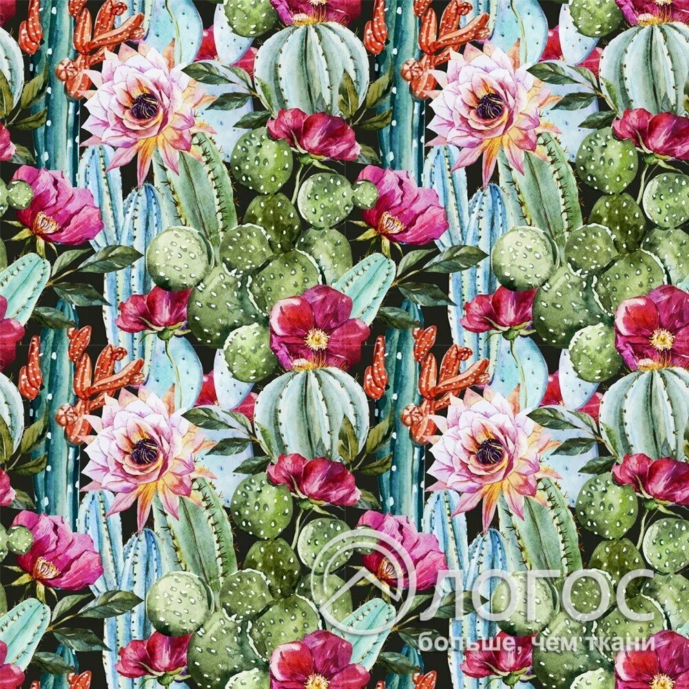 Cactus 150