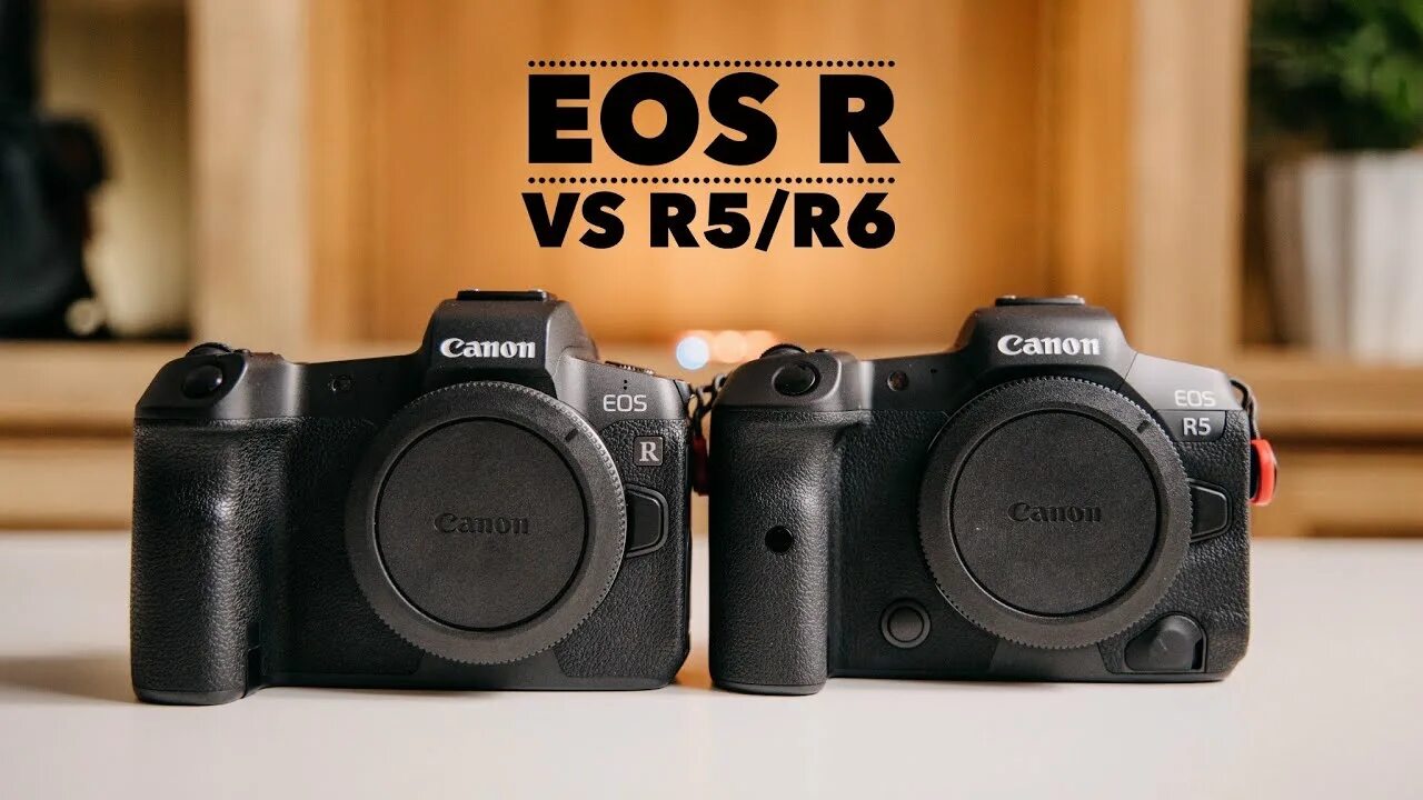 Vs eos. Canon r vs r6. canon r6 vs r5. eos r vs r6. eos r5 vs eos r6.