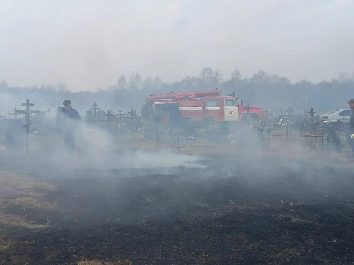 Пожары в Красноярском крае. Пожар в лесу. Пожар в поле. Лесные пожары в Сибири.