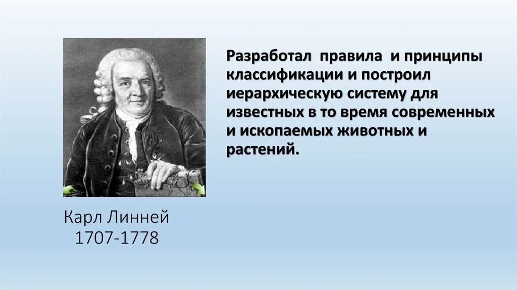Линней является автором первого эволюционного учения. Карл линней гипотеза о происхождении человека. к линней представление о происхождении человека. карл линней теория происхождения человека. карл линней разработал принципы.