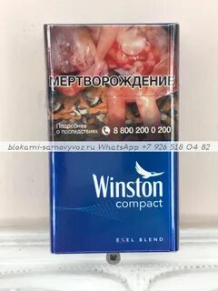 Винстон компакт синий