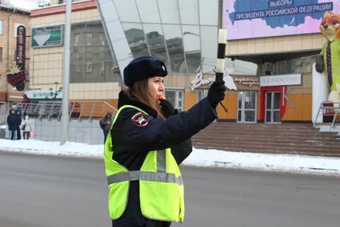Полком дпс