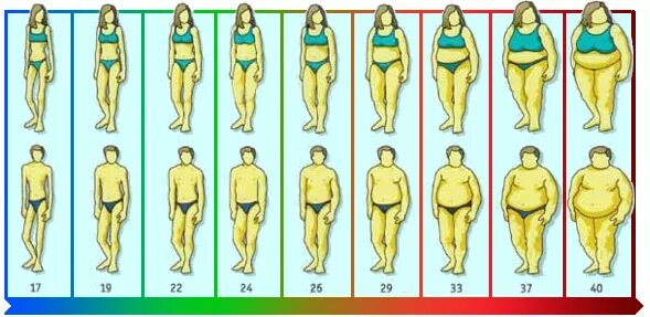 До скольки формируется человек. Распределение жира на теле. Ожирение типы ожирения. Ожирение по женскому типу. Типы ожирения у мужчин и женщин.